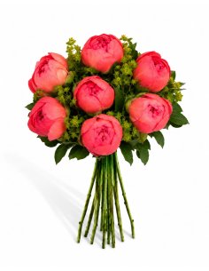 Buchet 7 bujori corai