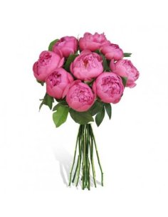 Buchet 9 bujori roz