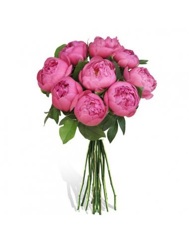 Buchet 9 bujori roz