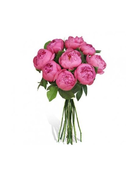 Buchet 9 bujori roz