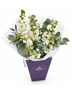 Con mov cu matthiola alba