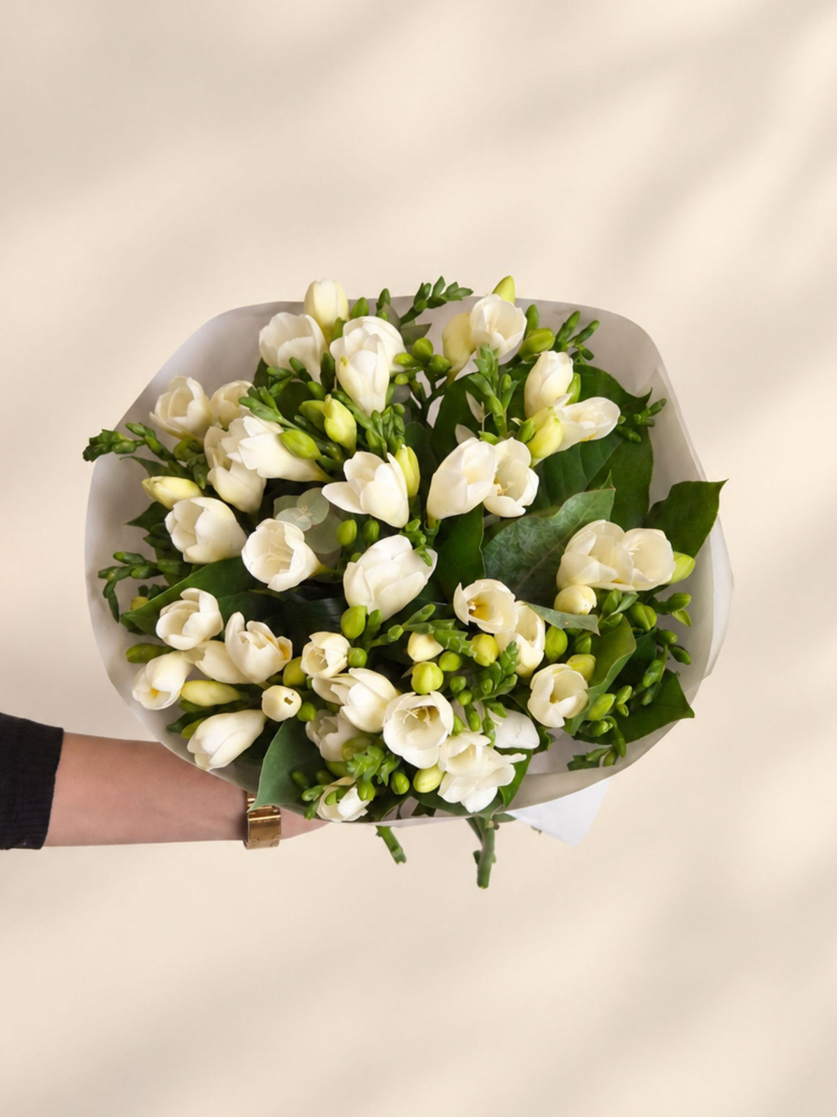 Buchet 25 Frezii Albe