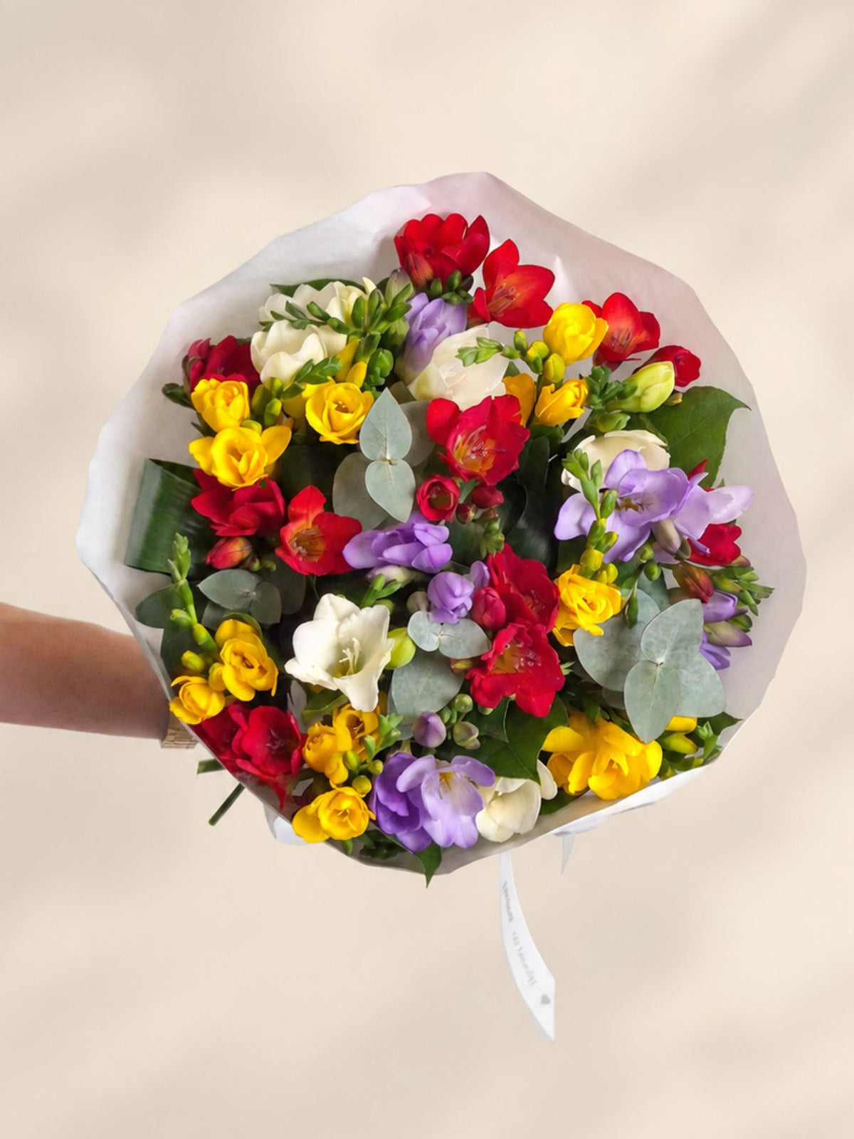 Buchet 25 Frezii Multicolore