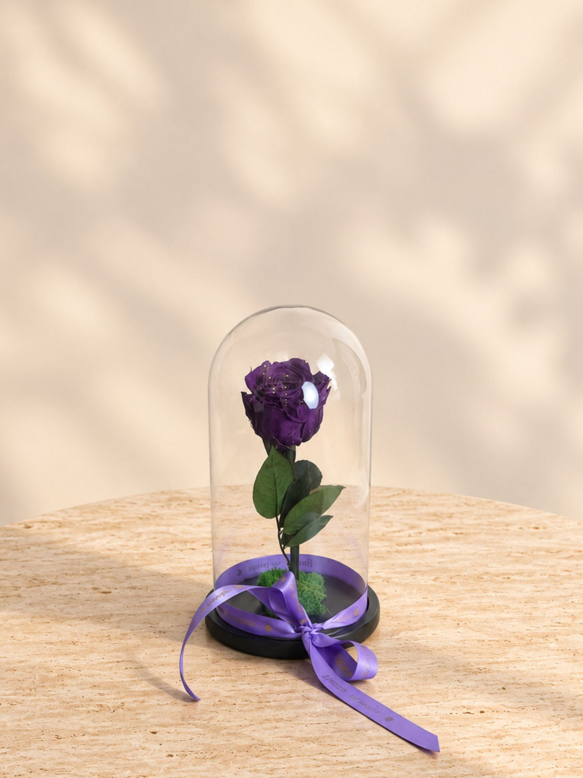 Trandafir Nemuritor Belle Rose Mov