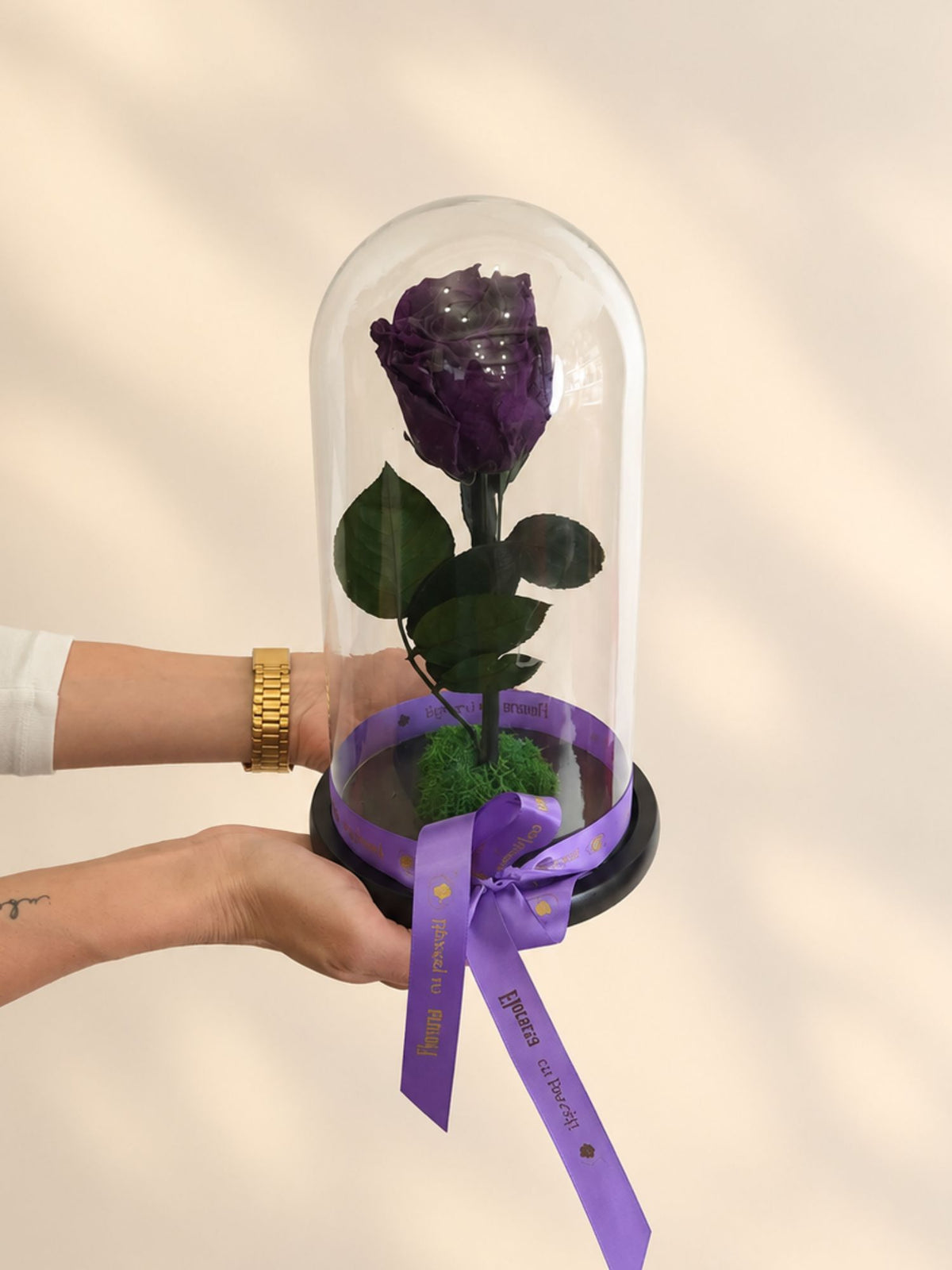 Trandafir Nemuritor Belle Rose Mov