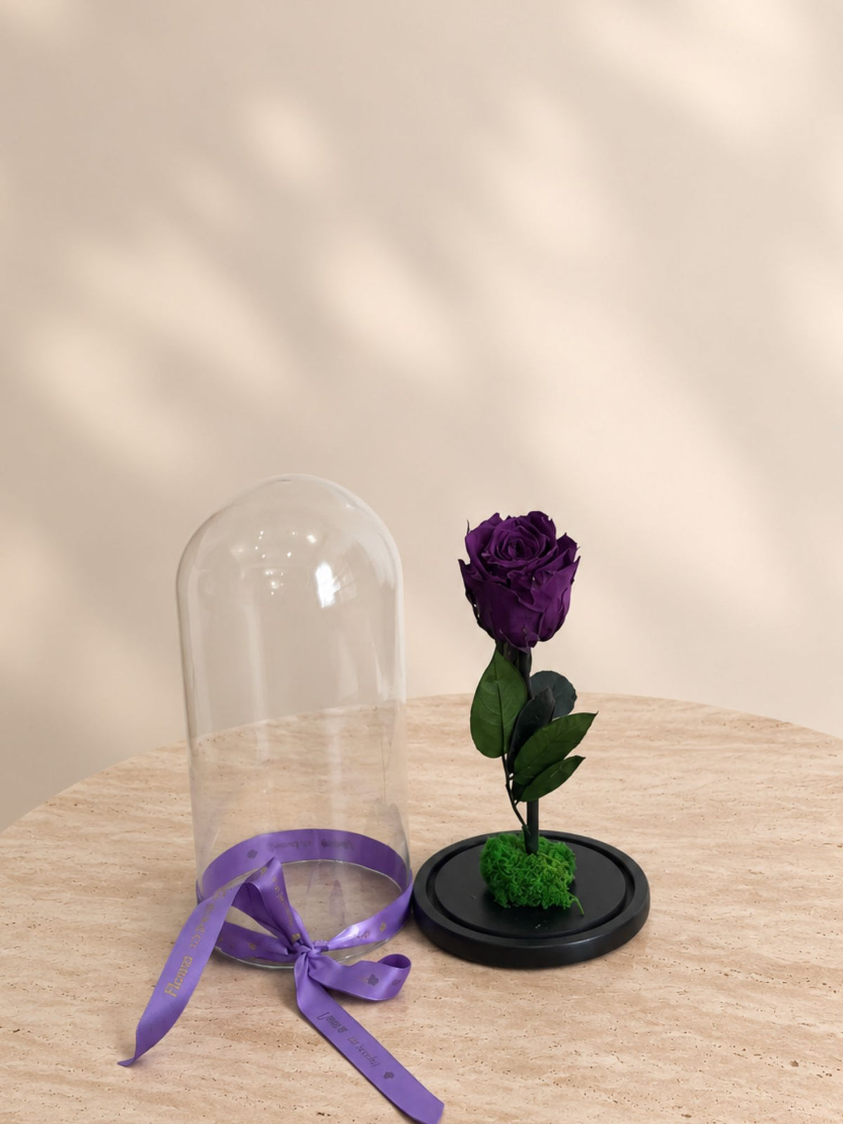 Trandafir Nemuritor Belle Rose Mov