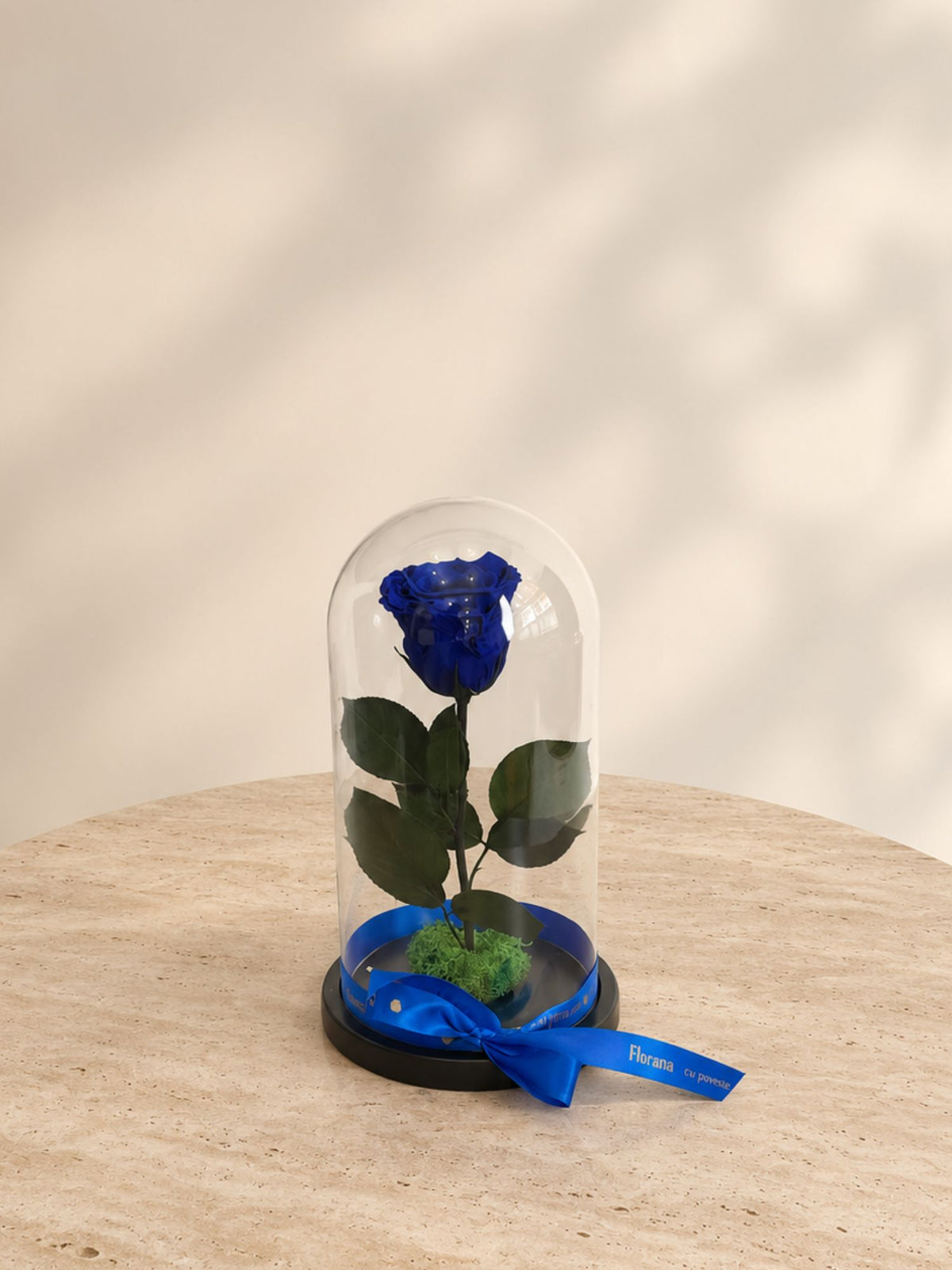Trandafir Nemuritor Belle Rose Albastru