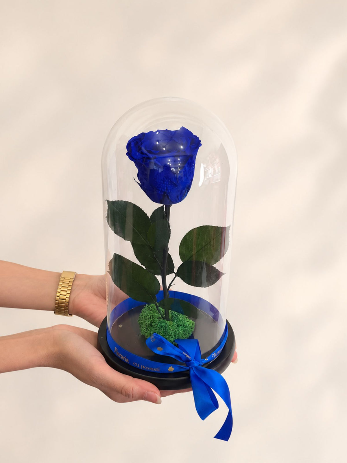 Trandafir Nemuritor Belle Rose Albastru