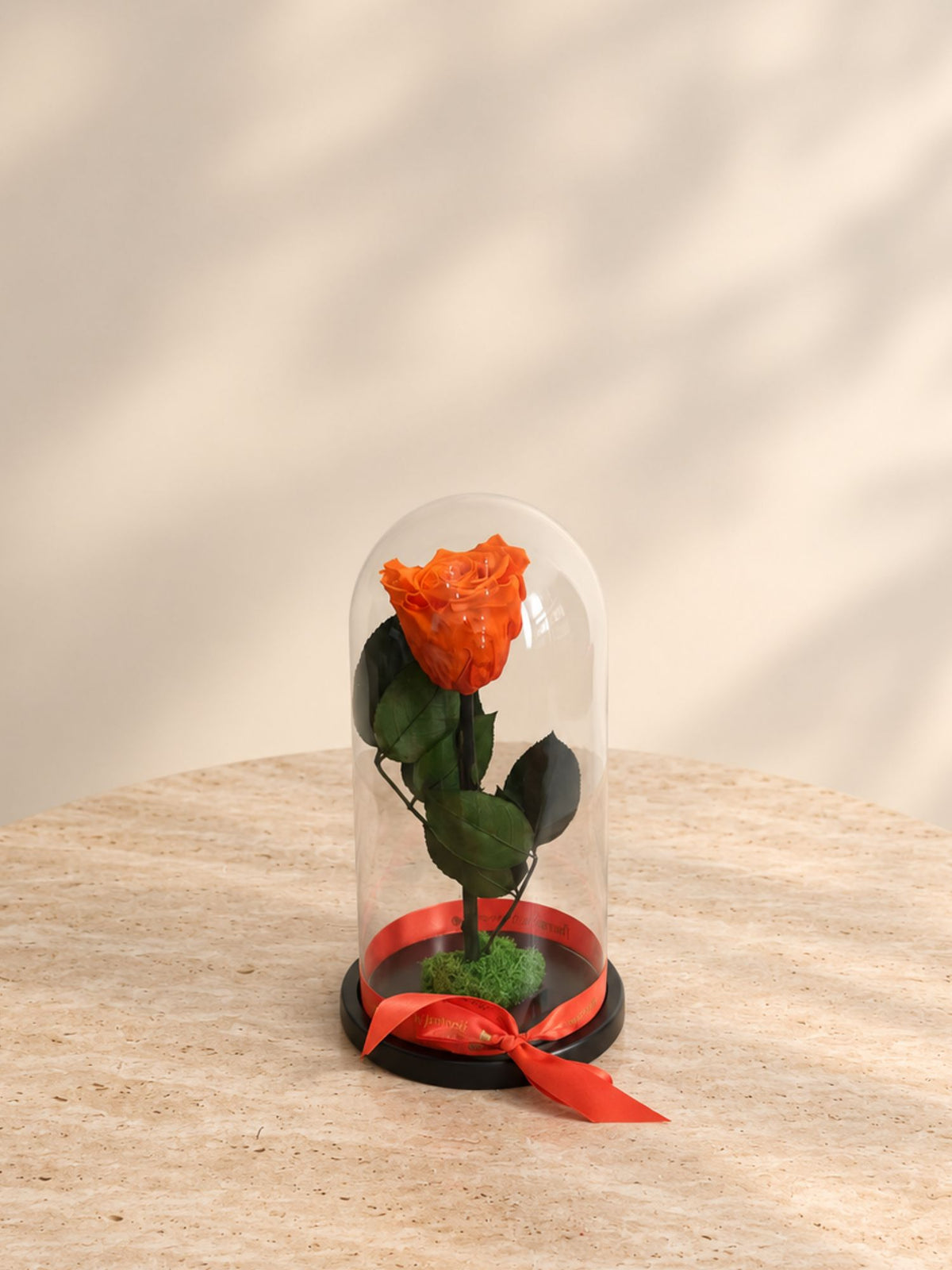 Trandafir Nemuritor Belle Rose Portocaliu