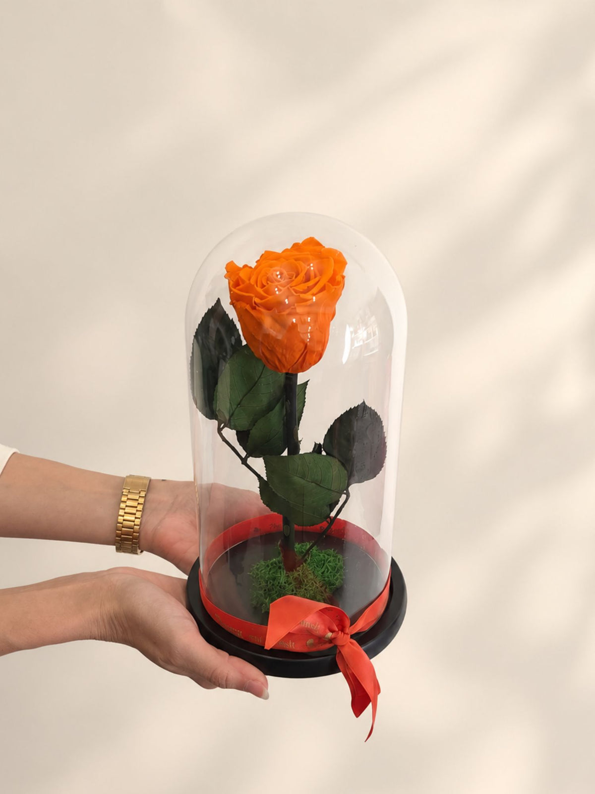 Trandafir Nemuritor Belle Rose Portocaliu