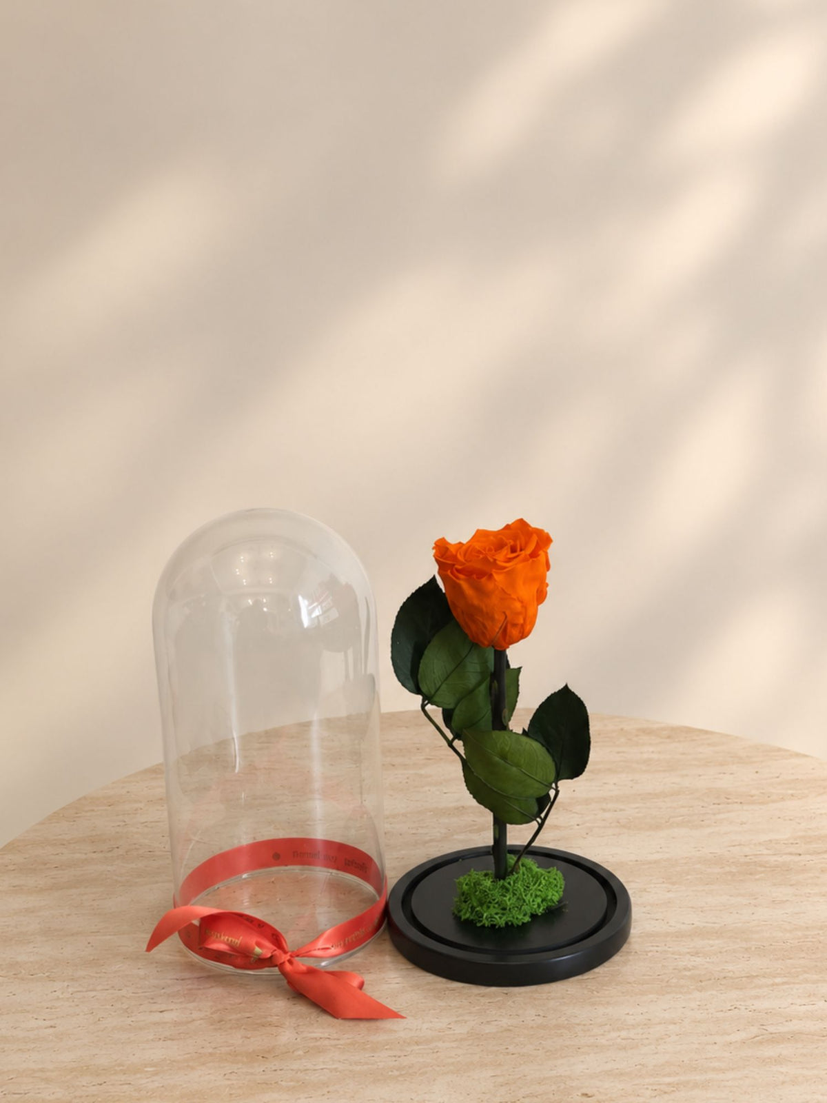 Trandafir Nemuritor Belle Rose Portocaliu