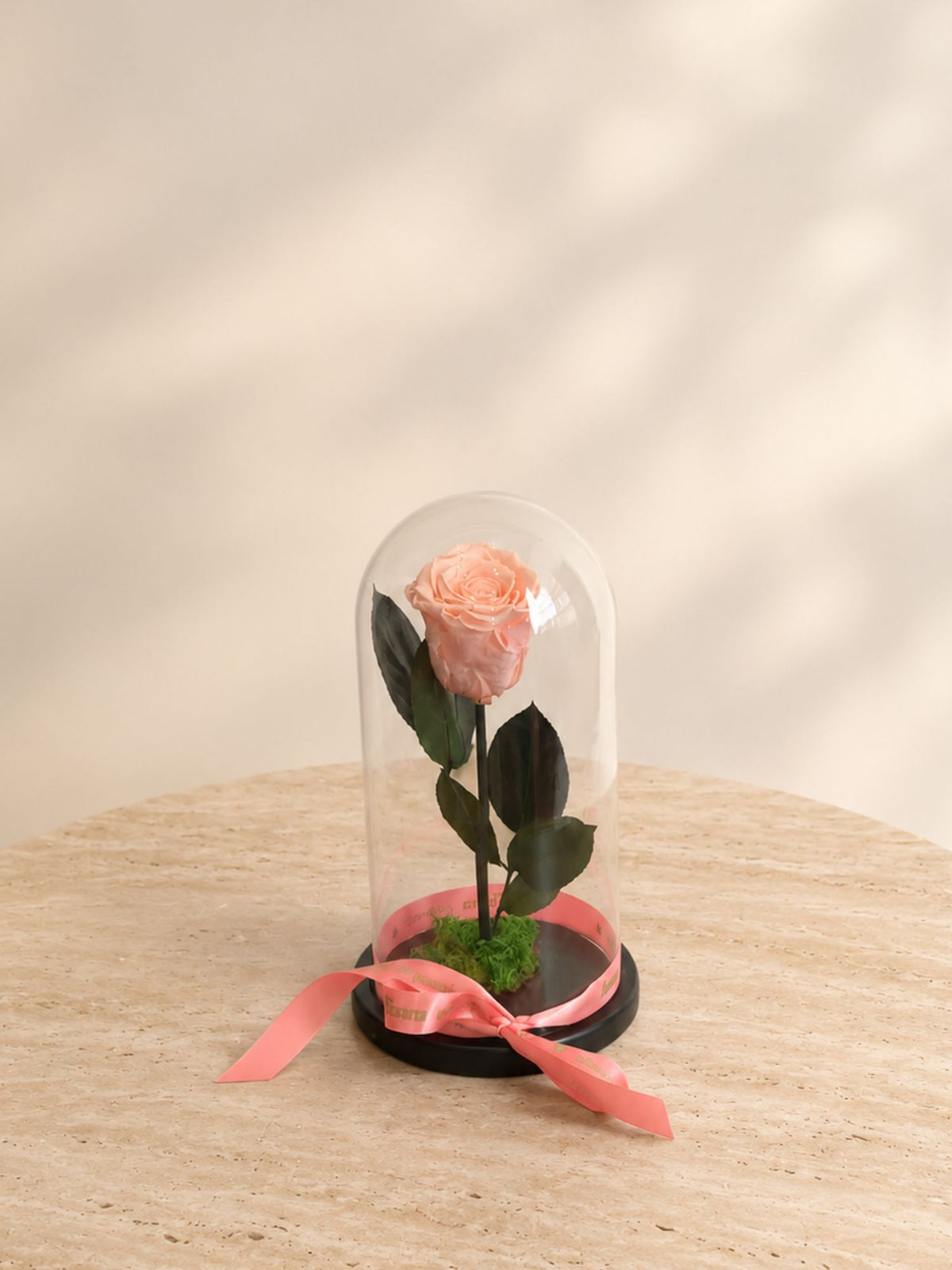 Trandafir Nemuritor Belle Rose Peach