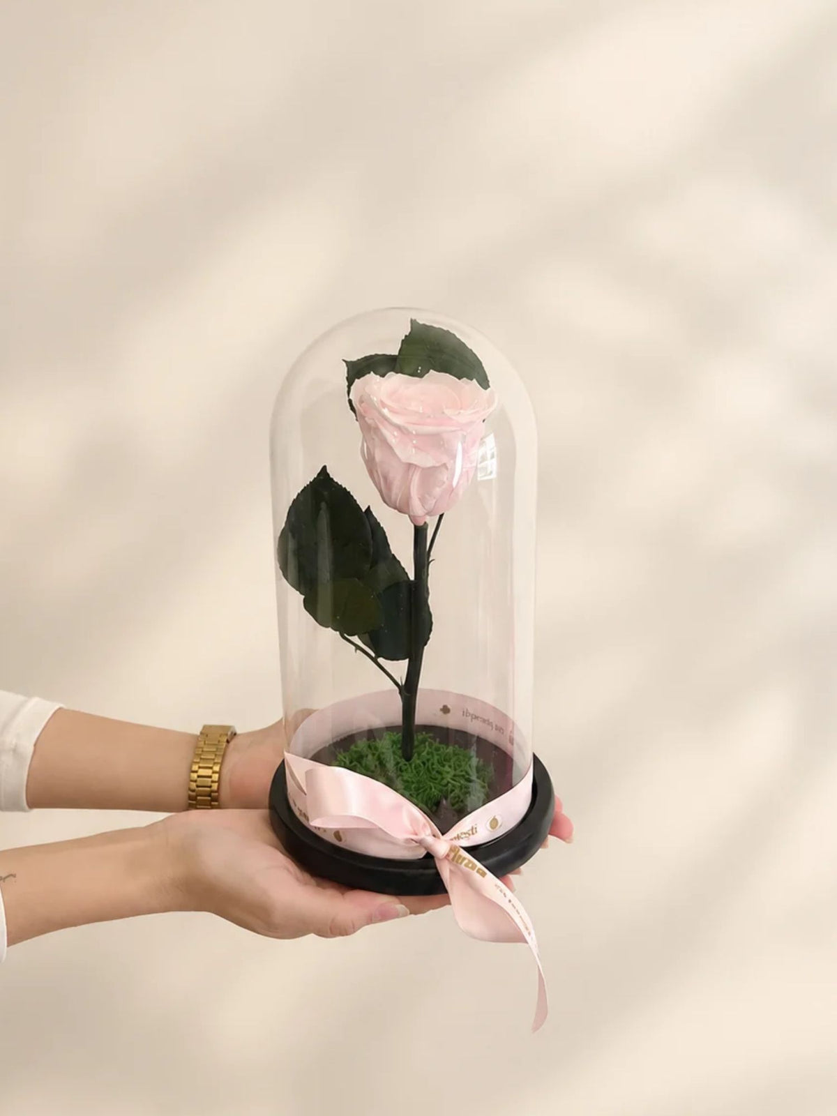 Trandafir nemuritor Belle Rose roz