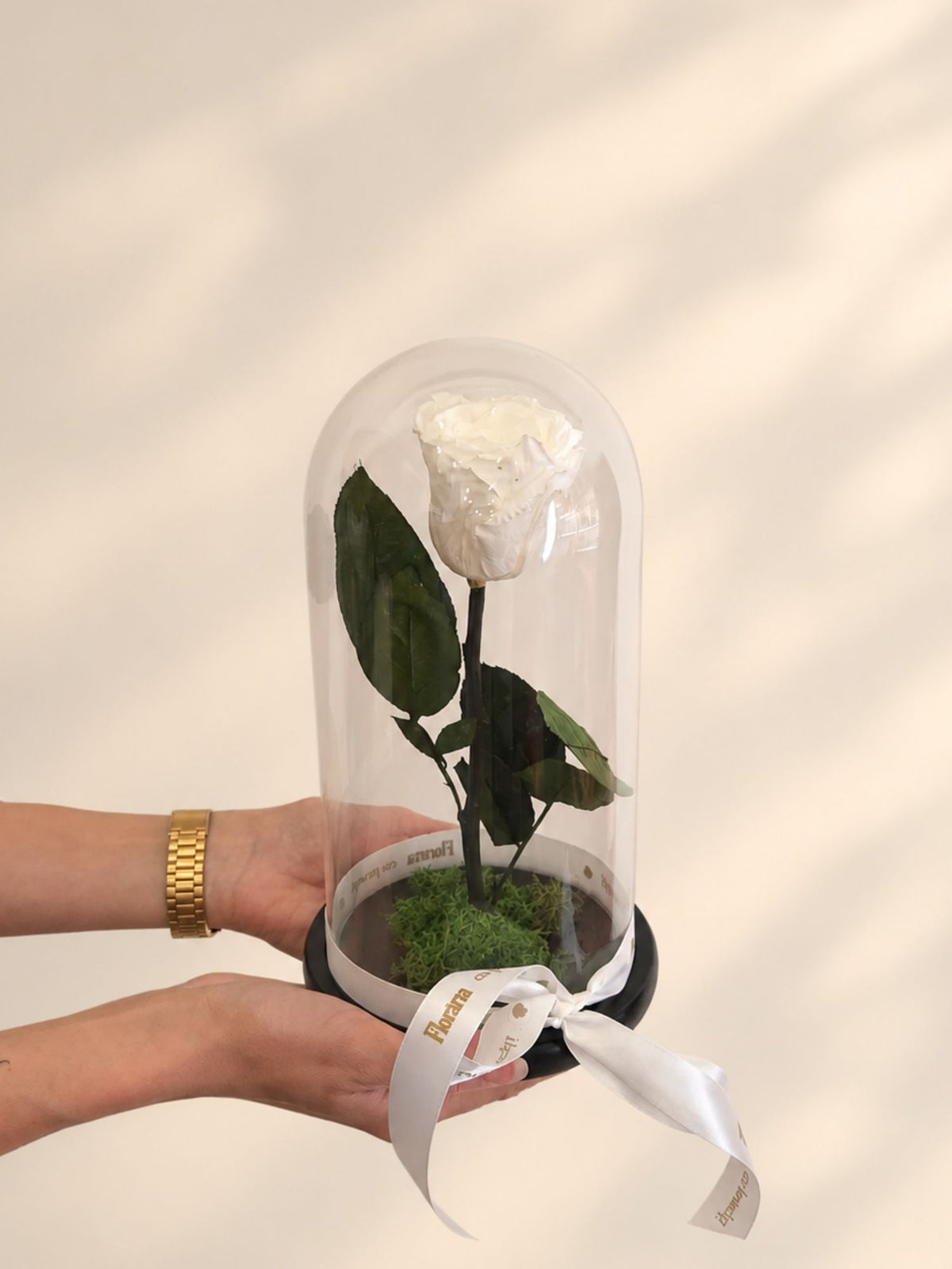 Trandafir Nemuritor Belle Rose Alb