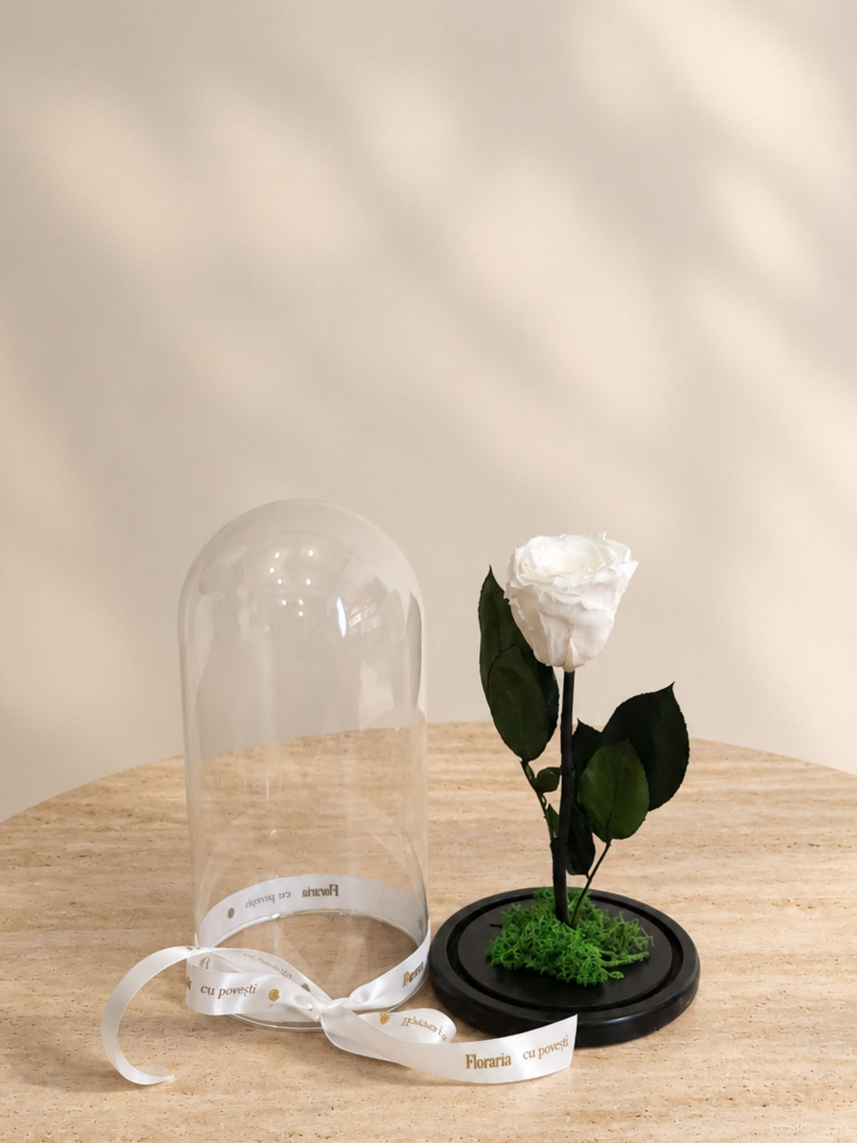 Trandafir Nemuritor Belle Rose Alb