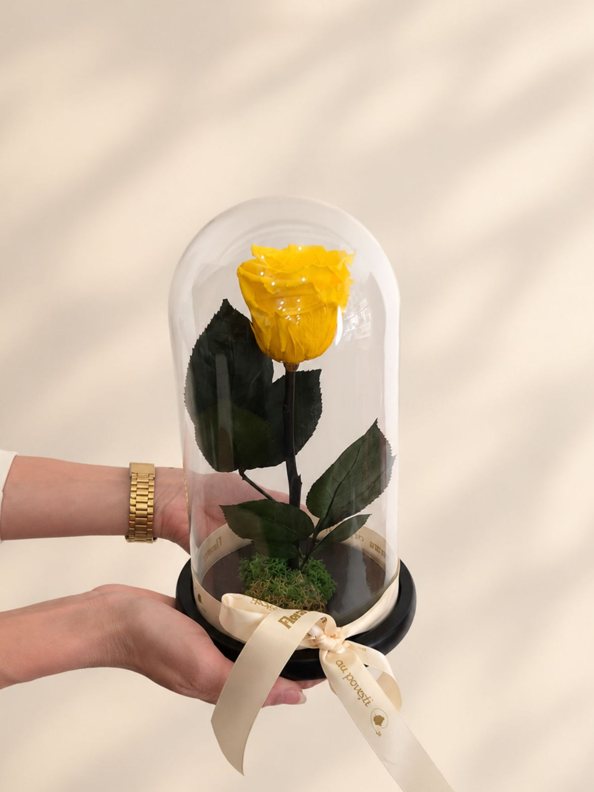 Trandafir Nemuritor Belle Rose Galben