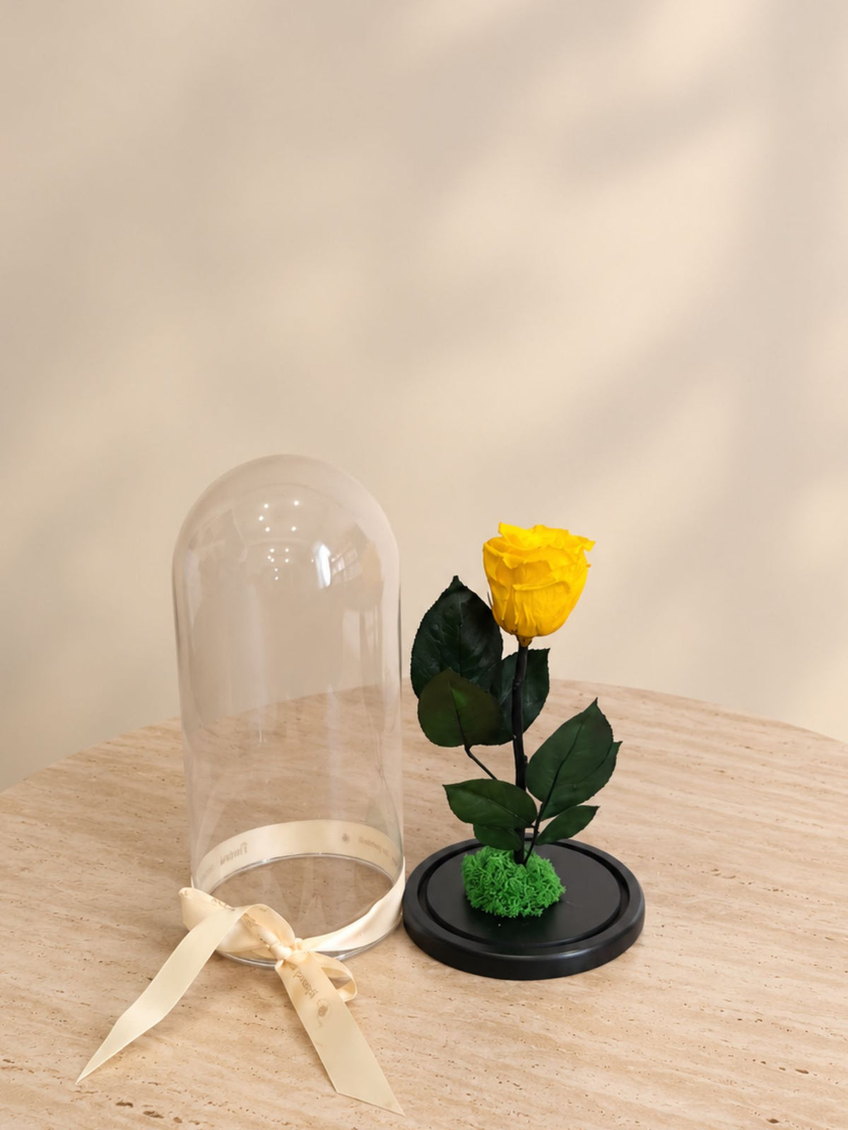 Trandafir Nemuritor Belle Rose Galben
